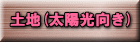 �y�n(���z������) 