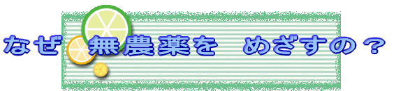 Ȃ@_@߂́H 