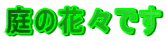 ��̉ԁX�ł� 
