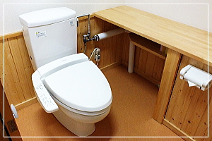 Wash-toilet system type toilet.